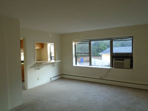 Floor plan for studio, 1 bath, 300 sqft